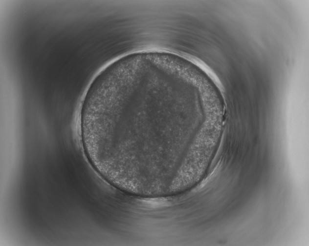 X0000101091388200807240959