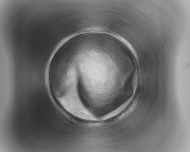 X0000101091389200807240959