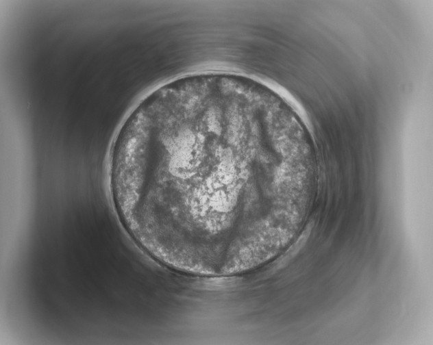 X0000101091390200807240959