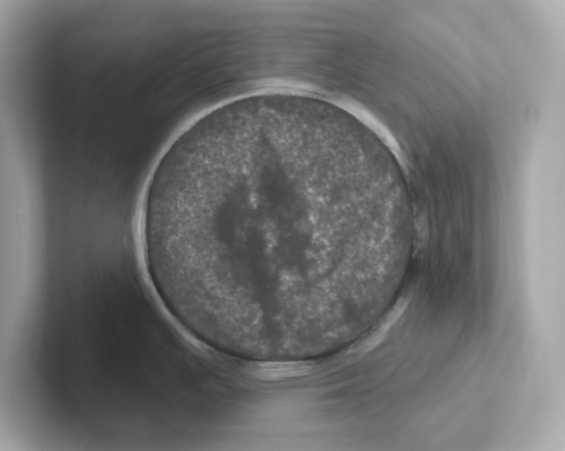 X0000101091391200807240959