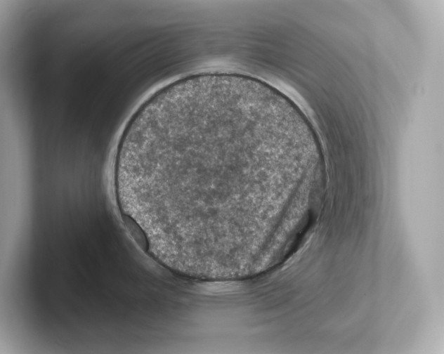 X0000101091392200807240959