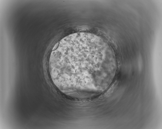 X0000101091393200807240958