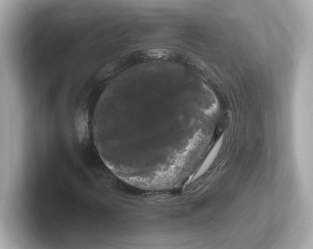 X0000101091394200807240958