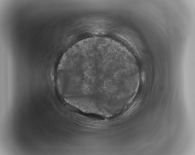 X0000101091396200807240958