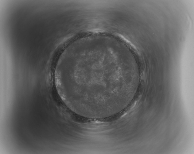 X0000101091398200807240958