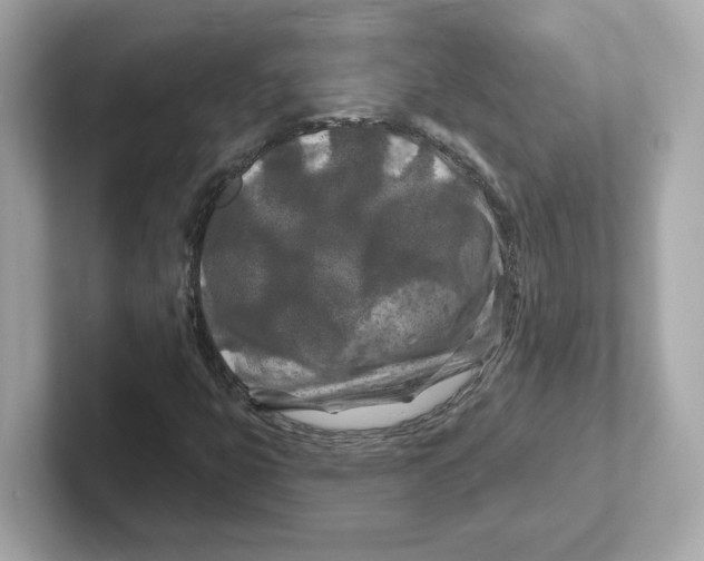 X0000101091399200807240958