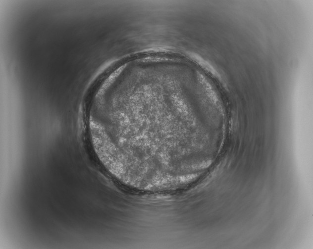 X0000101091400200807240958