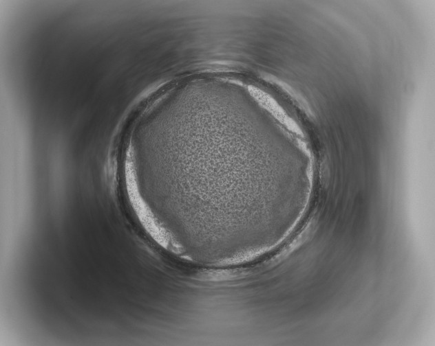 X0000101091402200807240958