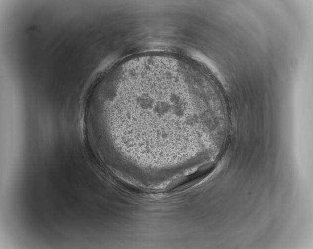 X0000101091403200807240958