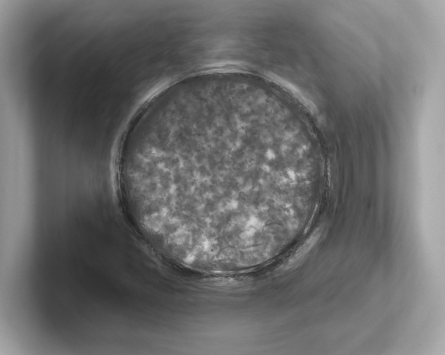 X0000101091405200807240958