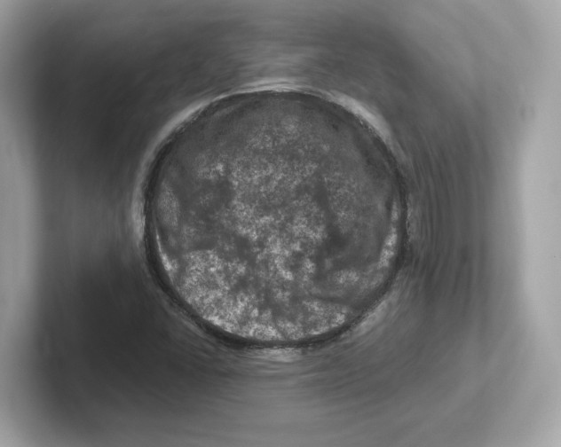 X0000101091406200807240958