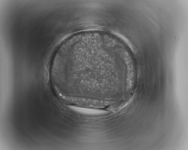 X0000101091407200807240958