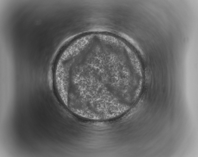 X0000101091408200807240958