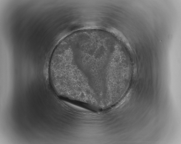 X0000101091409200807240958