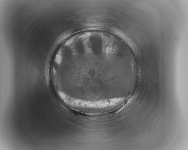 X0000101091411200807240958