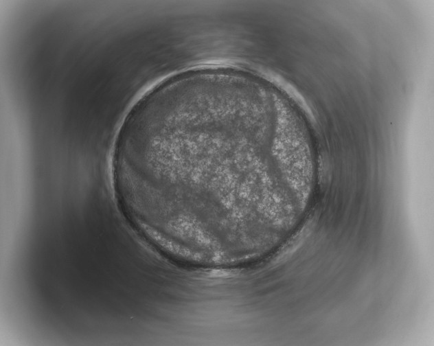 X0000101091412200807240958