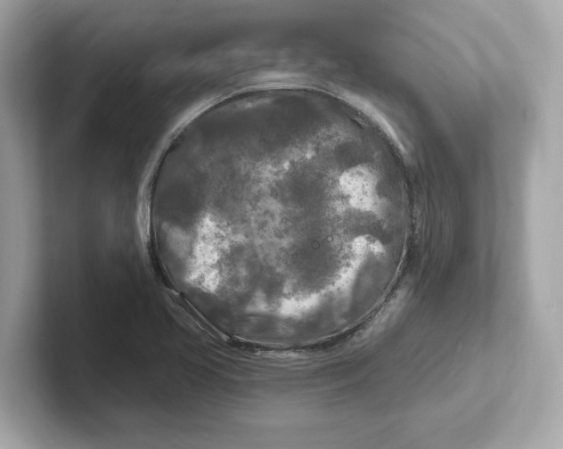 X0000101091413200807240958