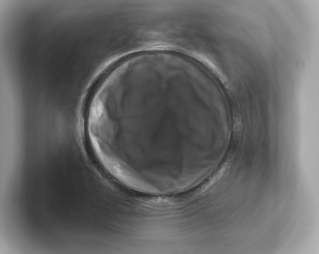 X0000101091414200807240958