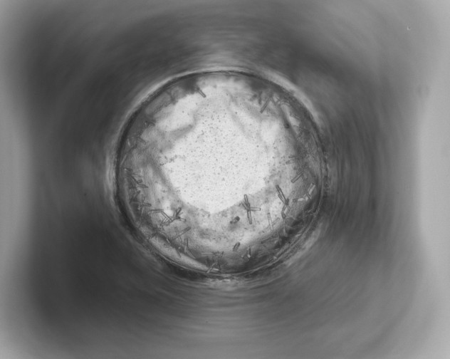 X0000101091415200807240958