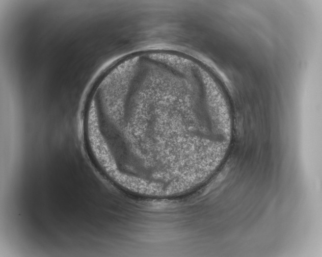 X0000101091416200807240958