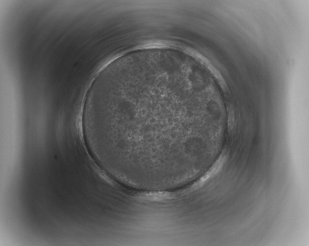 X0000101091417200807240958