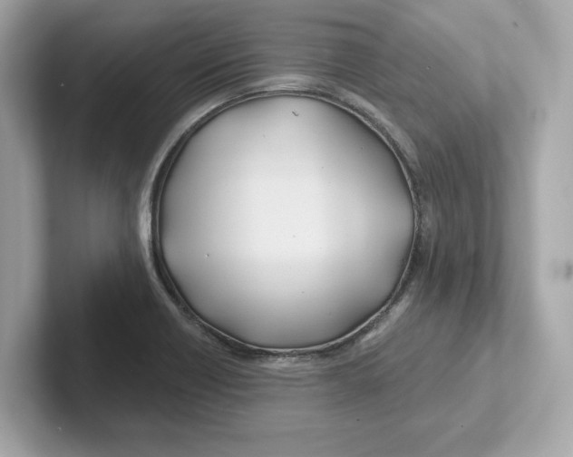 X0000101091418200807240958