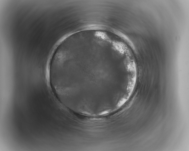 X0000101091419200807240958