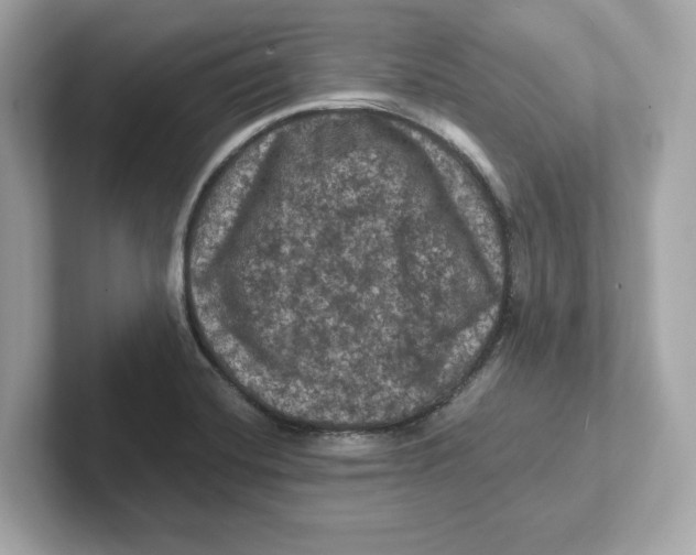 X0000101091420200807240958