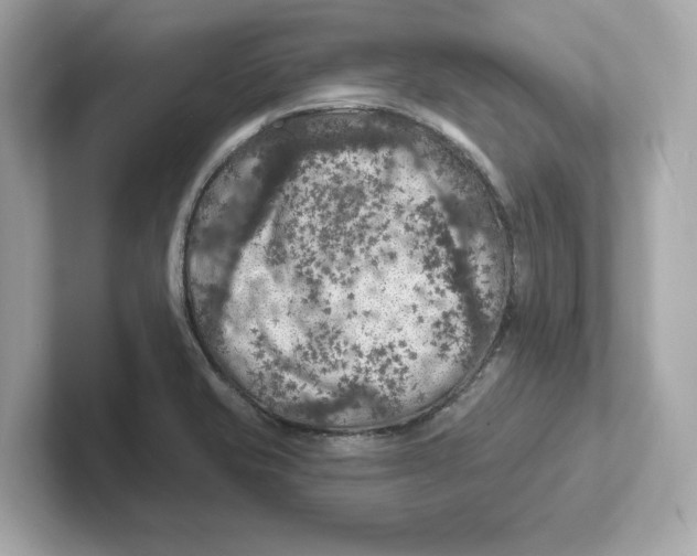 X0000101091421200807240958