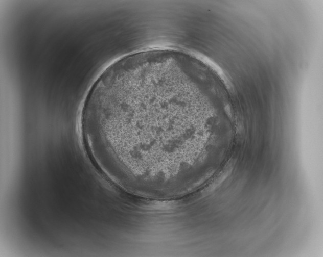 X0000101091423200807240958