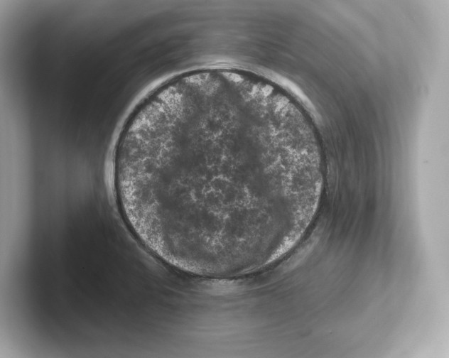 X0000101091424200807240958