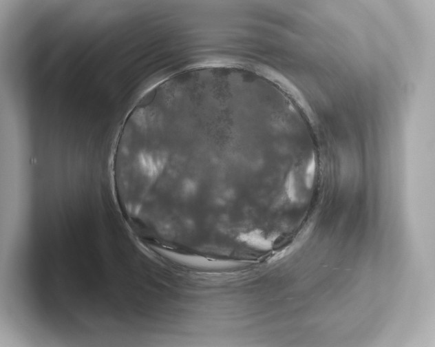 X0000101091425200807240958