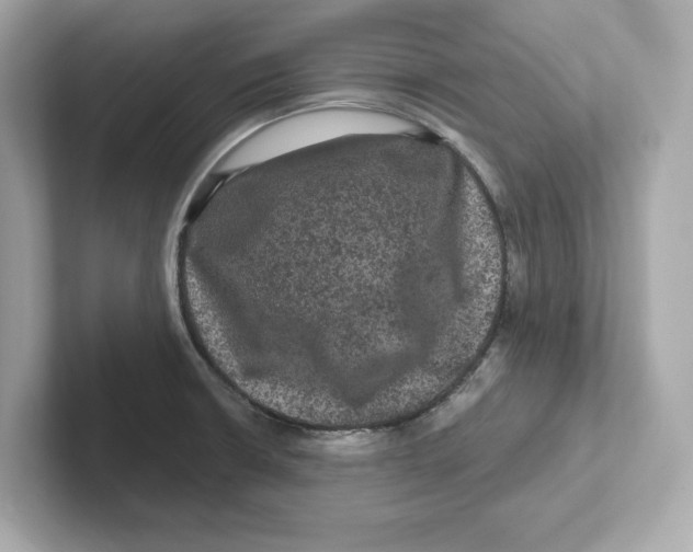 X0000101091426200807240958