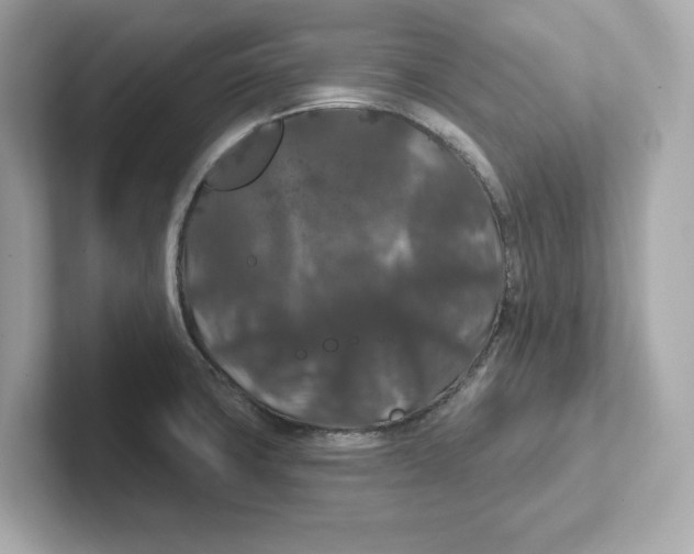 X0000101091427200807240958