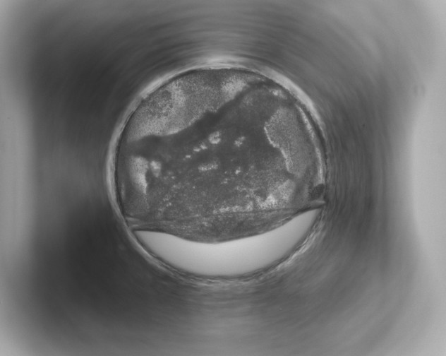 X0000101091429200807240958