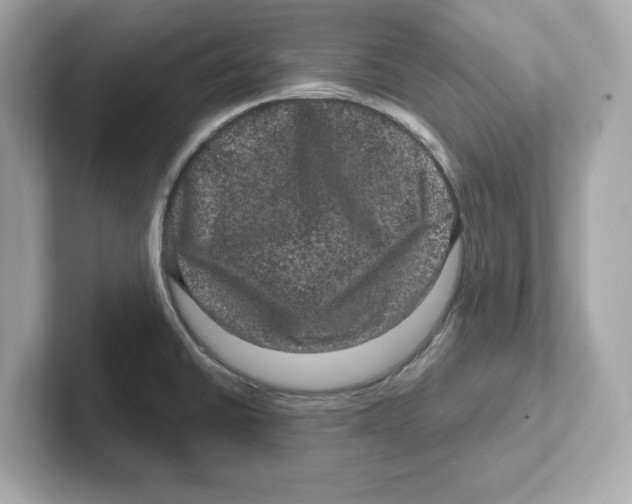 X0000101091430200807240958