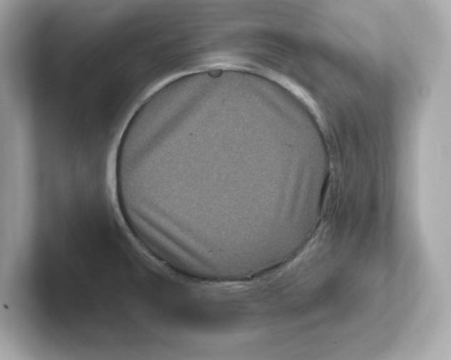 X0000101091431200807240958