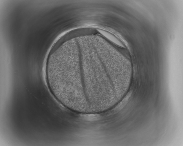 X0000101091432200807240958