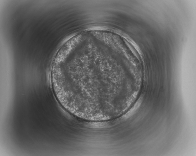 X0000101091433200807240958