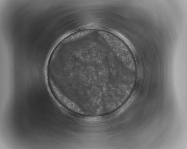 X0000101091434200807240958