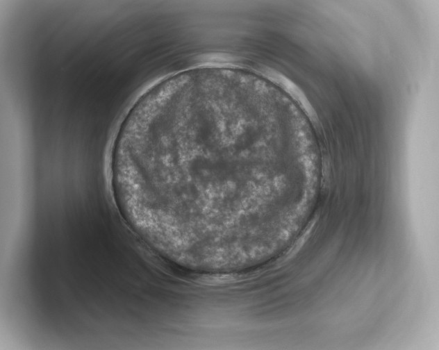 X0000101091435200807240958