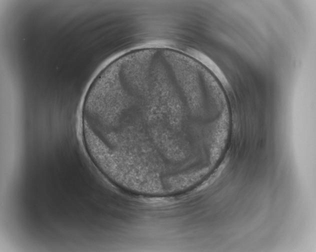 X0000101091436200807240958