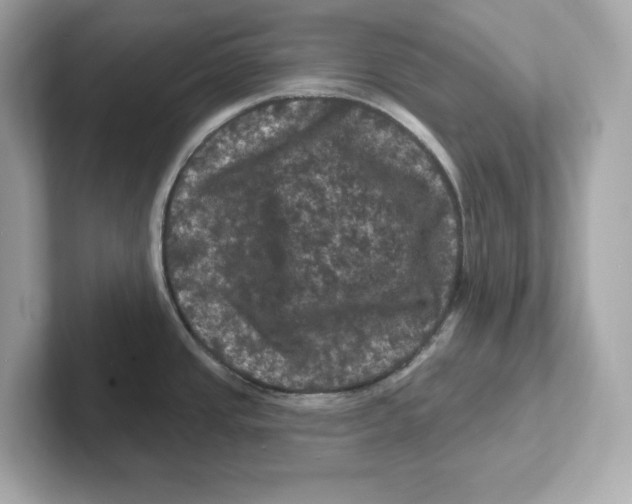 X0000101091437200807240958