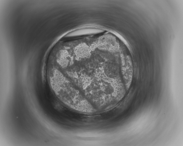 X0000101091438200807240958