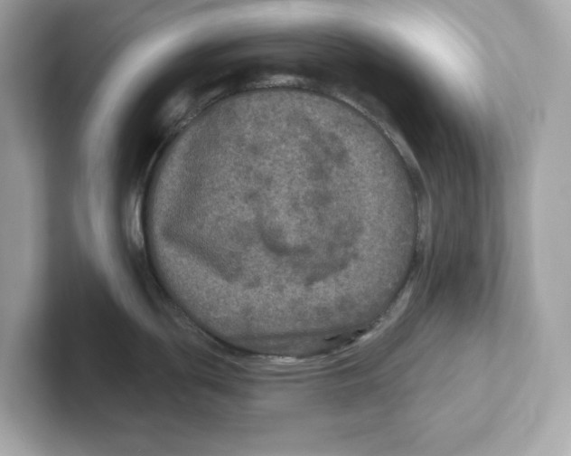 X0000101091439200807240959