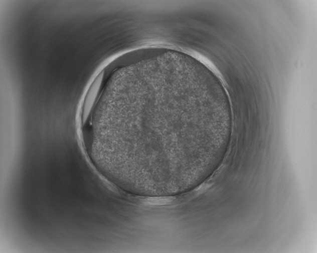 X0000101091440200807240959