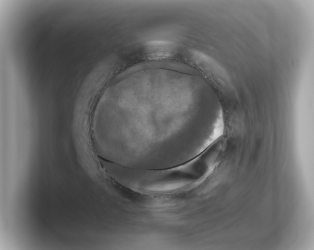 X0000101091441200807240958