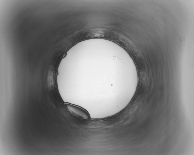 X0000101091442200807240958