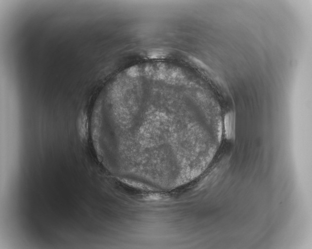 X0000101091443200807240958