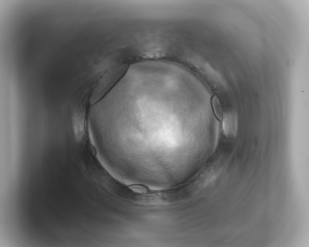 X0000101091444200807240958